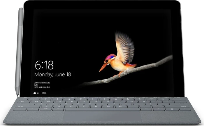 Microsoft Surface Go, Pentium Gold 4415Y, 4GB RAM, 64GB, Signature Type Cover Platin