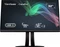 ViewSonic ColorPro VP3256-4K, 31.5" Vorschaubild