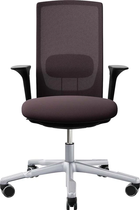 braun, Gestell silber