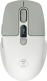 Eternico MSB270 Wireless Office Mouse grau, USB/Bluetooth (AET-MSB270Y)