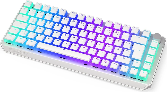 Endorfy Thock 75% Wireless Pudding, Onyx White, PBT, LEDs RGB, hot-swap, Kailh Box BLACK, USB/Bluetooth, DE