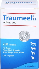 Heel Traumeel LT ad us. vet. Tabletten, 250 Stück