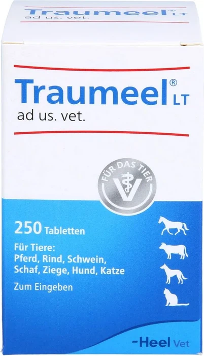 Heel Traumeel LT ad us. vet. Tabletten, 250 Stück