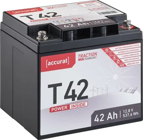 Accurat Traction T42 LFP 12V