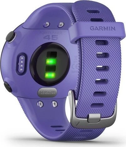 Garmin Forerunner 45S iris