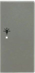 Busch-Jaeger Wippe 2-fach mit Symbol "Licht", edelstahl