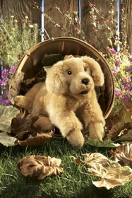 Folkmanis Handpuppe Golden Retriever Welpe