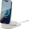 Native Union Rise 2-in-1 Magnetic Wireless Charger Vorschaubild