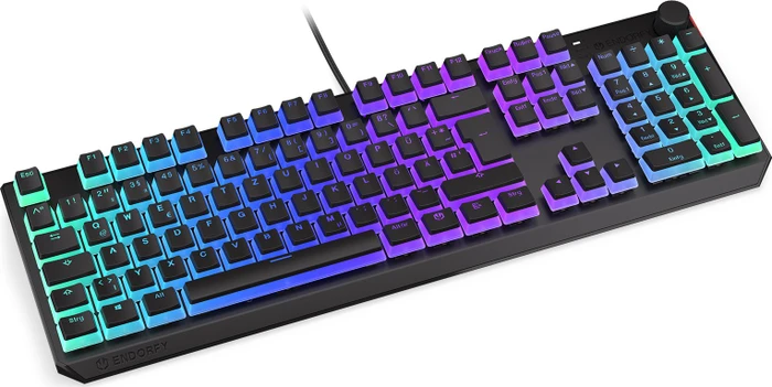 Endorfy Thock Pudding, PBT, LEDs RGB, Kailh RED, USB, DE