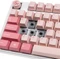 Ducky One 3, Gossamer Pink, MX BLACK Clear-Top, USB, US Vorschaubild