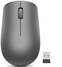 Lenovo 530 Wireless Mouse grafitgrau, USB