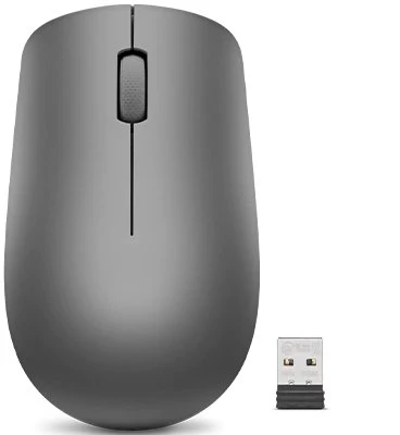 Lenovo 530 Wireless Mouse grafitgrau, USB