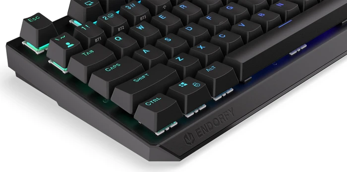 Endorfy Thock Wireless Brown, PBT, LEDs RGB, hot-swap, Kailh Box BROWN, USB/Bluetooth, US