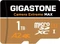 Gigastone Camera Extreme MAX microSDXC Series Vorschaubild