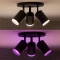 Philips Hue White and Color Ambiance Fugato Spot 3-flammig schwarz Vorschaubild