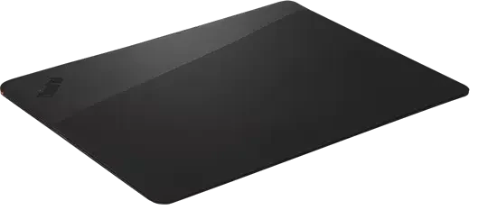 Lenovo ThinkPad 14" Professional Schutzhülle, schwarz