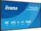 iiyama ProLite LH5575UHS-B2AG, 54.6" Vorschaubild