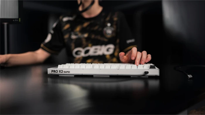 Logitech G PRO X2 TKL Rapid, weiß, KS-20 Magnetic Analog, USB, EN