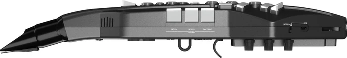 Roland Aerophone GO