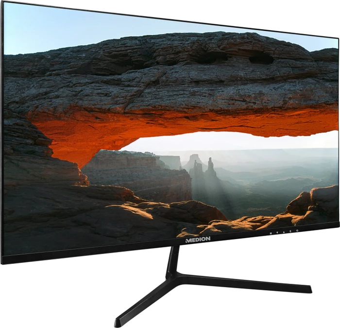 Medion P52218, 22"