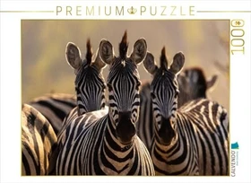 Calvendo Drei Zebras im goldenen Abendlicht im Makgadikgadi-Nationalpark, Botswana