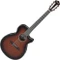 Ibanez AEG74 Vorschaubild