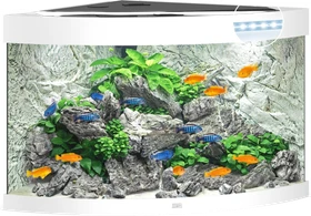 Juwel Trigon 190 LED Aquarium-Set, weiß, 190l