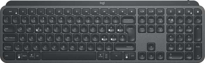 Logitech MX Keys, IT