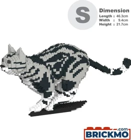 Jekca American Shorthair Cat 06S-M01