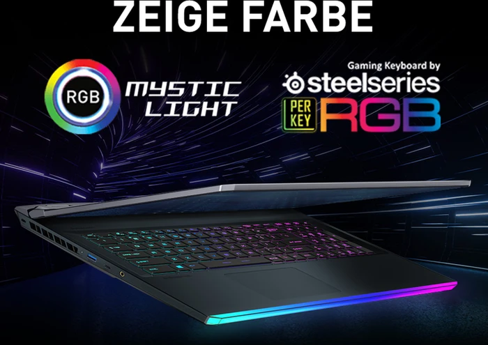 MSI Raider GE76 12UGS-001, Core i7-12700H, 32GB RAM, 1TB SSD, GeForce RTX 3070 Ti, DE