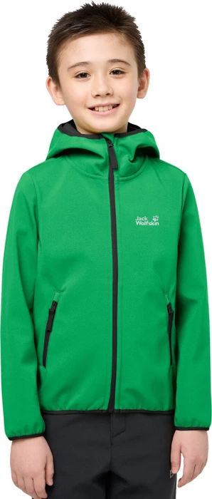 Jack Wolfskin Fourwinds Funktionsjacke mystic green (Junior)