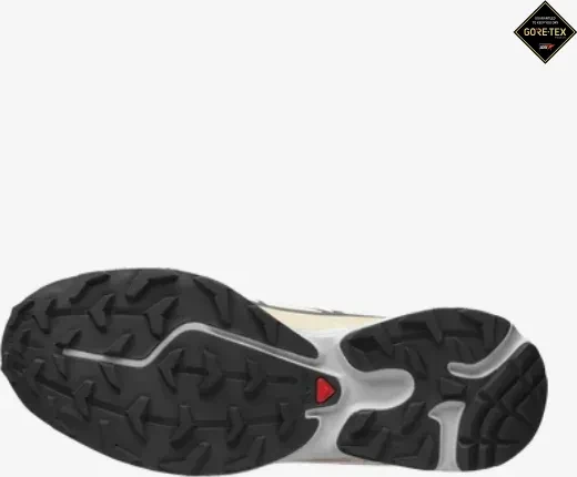 Salomon XT-6 GTX almond milk/feather gray/pale mauve