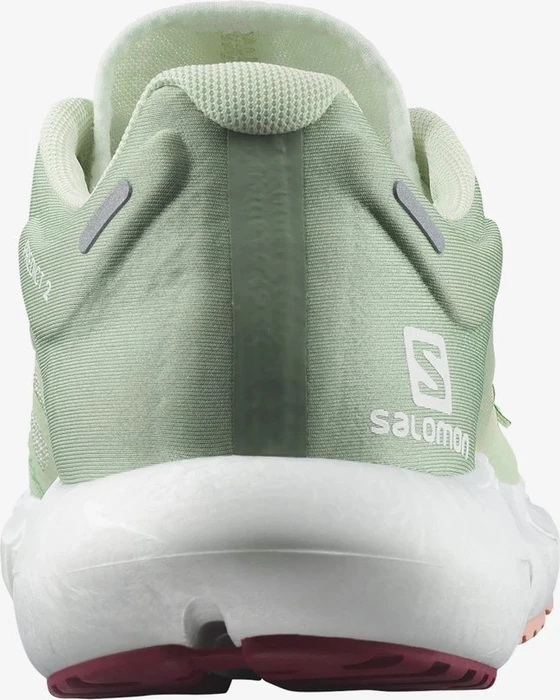 Salomon Predict 2 spray/granite green/blooming dahlia (Damen)