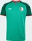 adidas FIFA WM 2026 Algerien Auswärtstrikot kurzarm court green (Herren) Vorschaubild