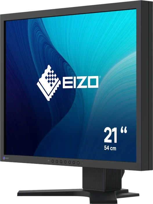 Eizo FlexScan S2134, schwarz, 21.3"