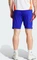 adidas Tiro 24 Competition Trainingshose kurz lucid blue/white (Herren) Vorschaubild