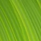 Fiberlogy REFILL Easy PET, light green transparent, Rolle, 1.75mm, 850g Vorschaubild
