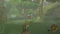 The Legend of Zelda: Breath of the Wild - Nintendo Switch 2 Edition (Switch 2) Vorschaubild
