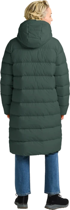 Jack Wolfskin Frozen Palace Funktionsmantel sago palm (Damen)