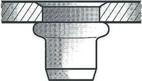 Gesipa Stahl gerändelt Flachrundkopf Blindnietmutter M6x9x18mm, 500 Stück