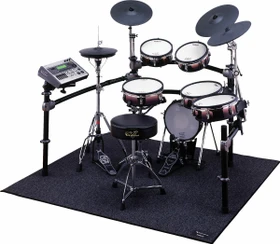 Roland TDM-20