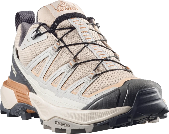 Salomon X Ultra 360 Edge GTX huckleberry/paloma/concord grape (Damen)
