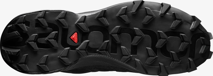 Salomon Speedcross 5 icy morn/hydro/green gables (Damen)