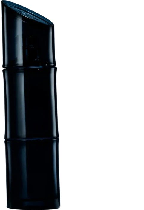 Kenzo Homme Eau de Parfum, 110ml