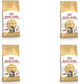 Royal Canin Maine Coon, 31, 400g