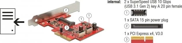 DeLOCK 2x intern 20-Pin Key-A USB 3.1, PCIe 3.0 x4