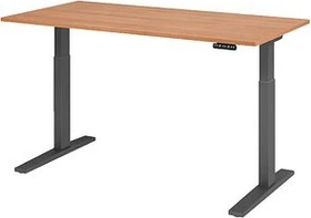 Hammerbacher Ergonomic Aktiv XMKA16 elektrisch höhenverstellbarer Sitz-Steh-Schreibtisch 160x80cm Nussbaum/grau