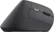 Trust Yuno Ergonomic Wireless Mouse schwarz, USB Vorschaubild