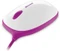 Microsoft Express Mouse pink/weiß, USB Vorschaubild