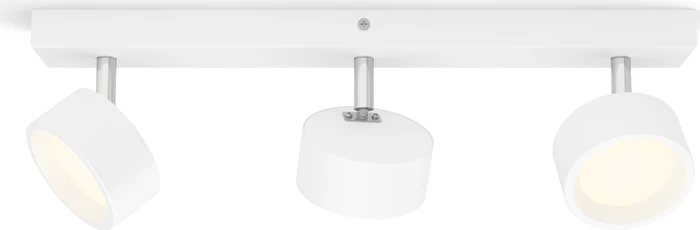 Philips Bracia Spot
